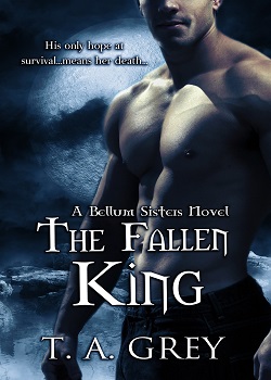 The Fallen King Paranormal Romance Book
