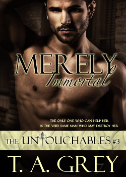 The Untouchables #3 by T. A. Grey